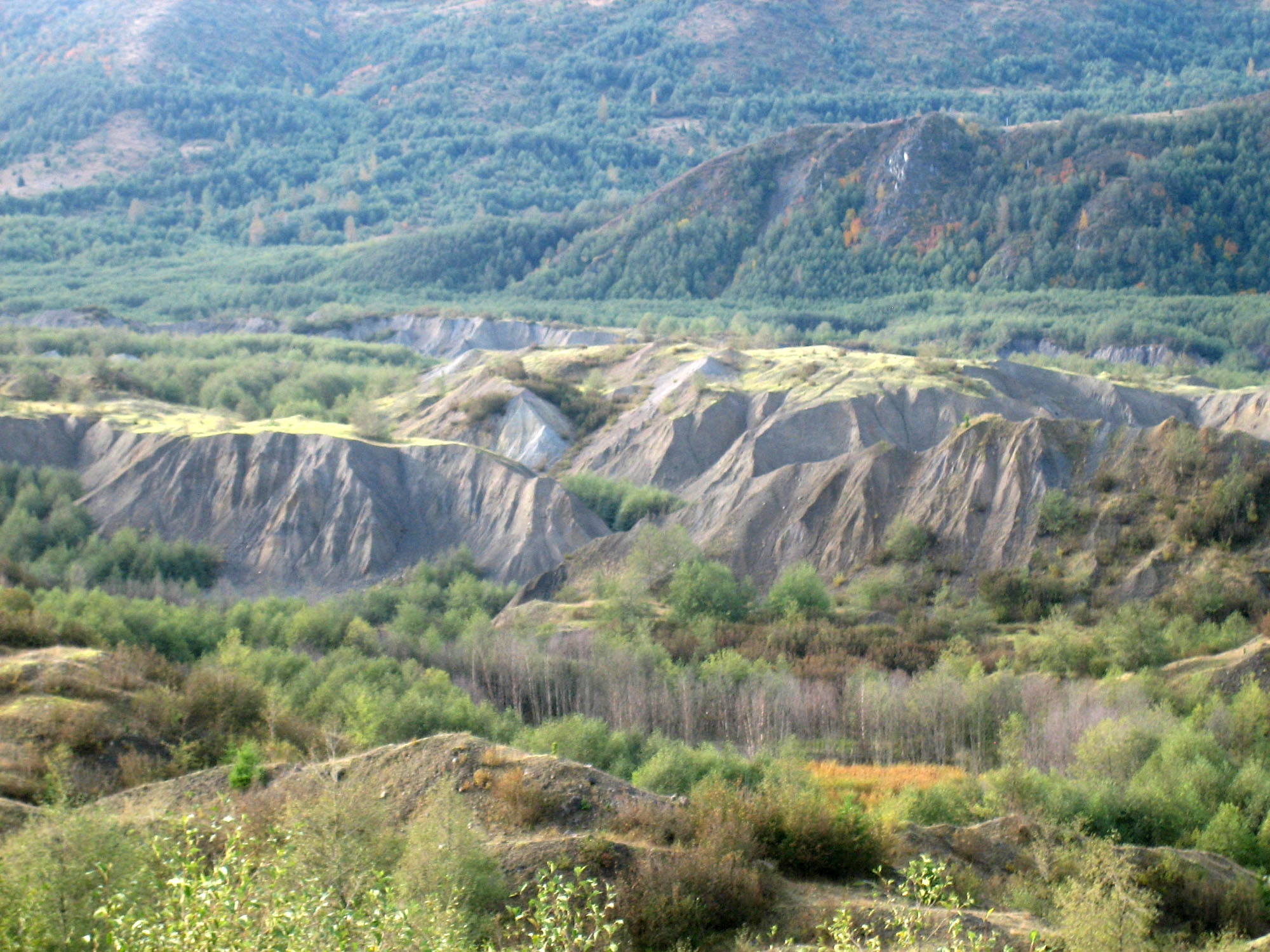 hummocks
